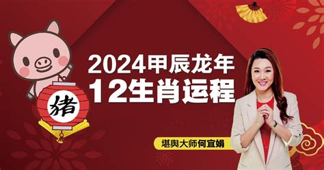 肖猪2024年运程